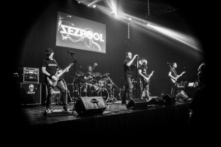 Pic by Robin Podde